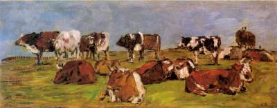 Cows in a Field