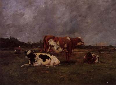 Cows in Pasture