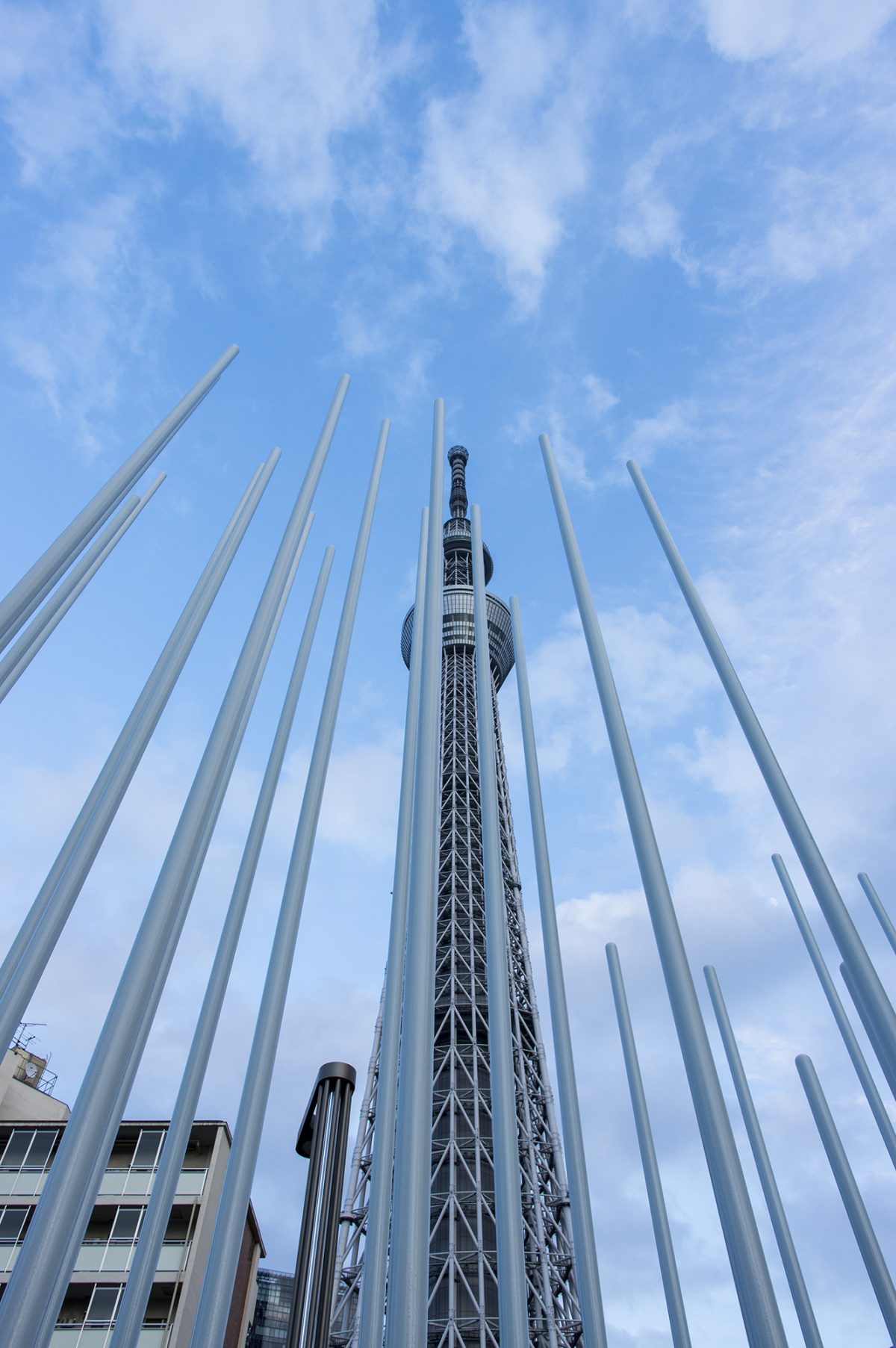 日本东京晴空塔(天空树) 4000×6016免费图片