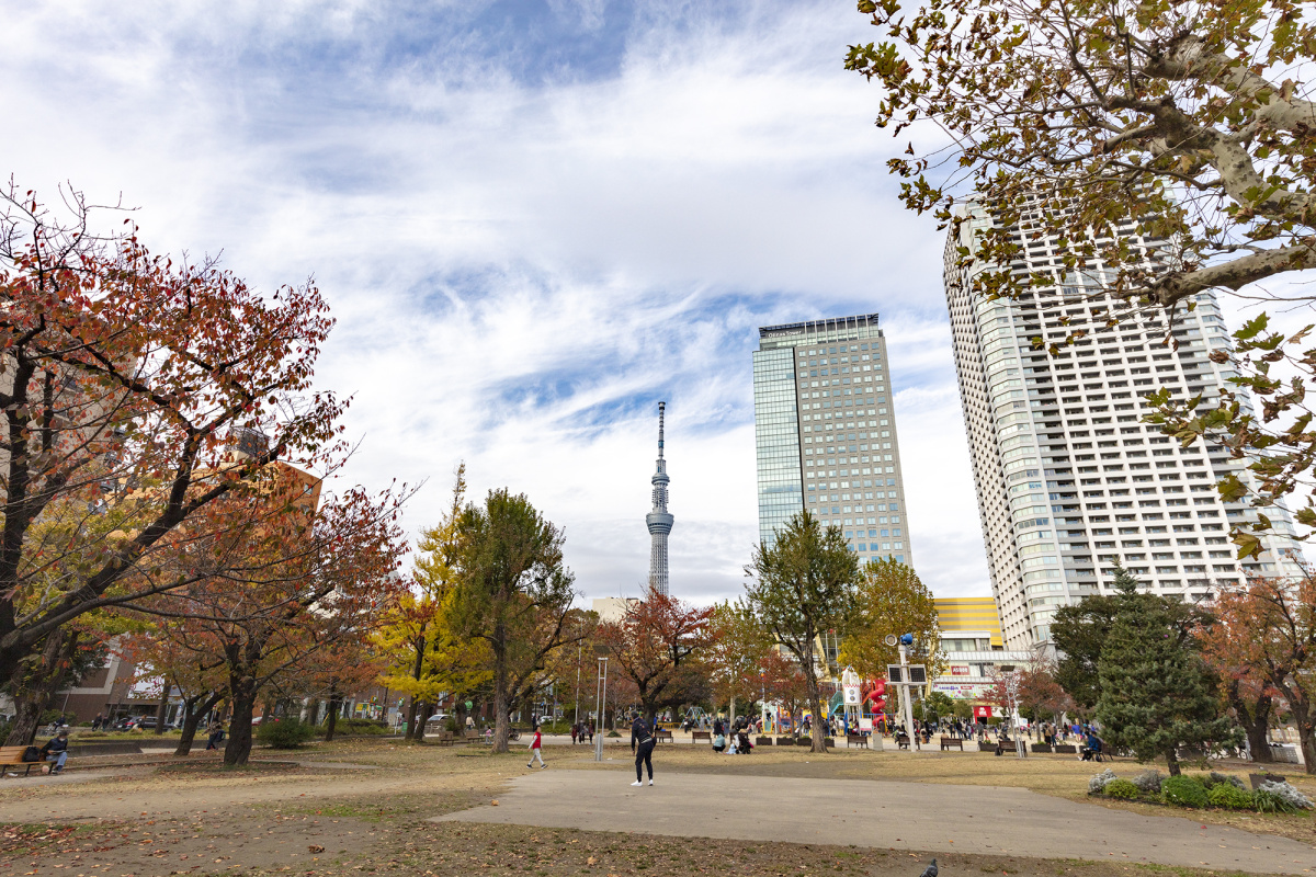 日本东京晴空塔(天空树) 8688×5792免费图片