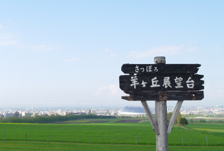 日本札幌羊之丘观景台 4672×3104
