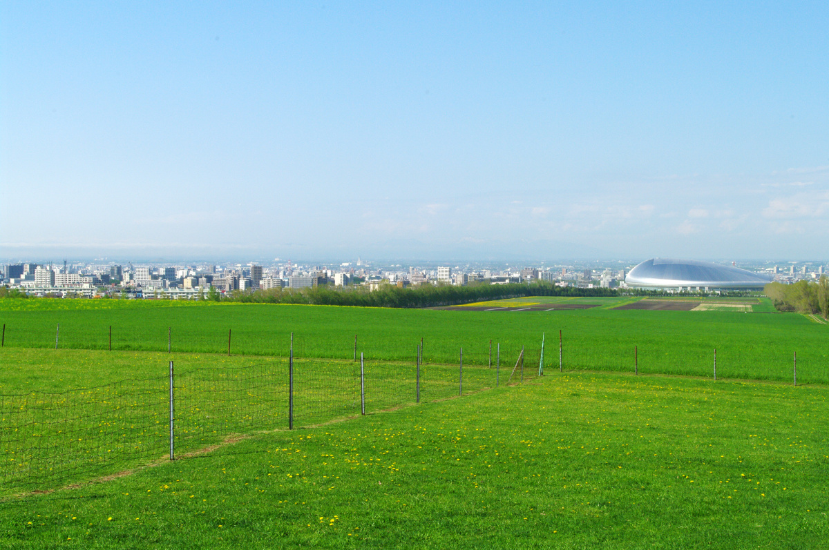 日本札幌羊之丘观景台的草坪 4672×3104免费图片