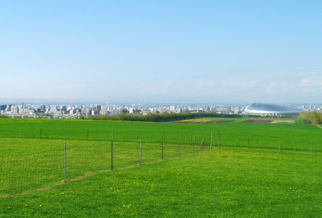 日本札幌羊之丘观景台的草坪 4672×3104