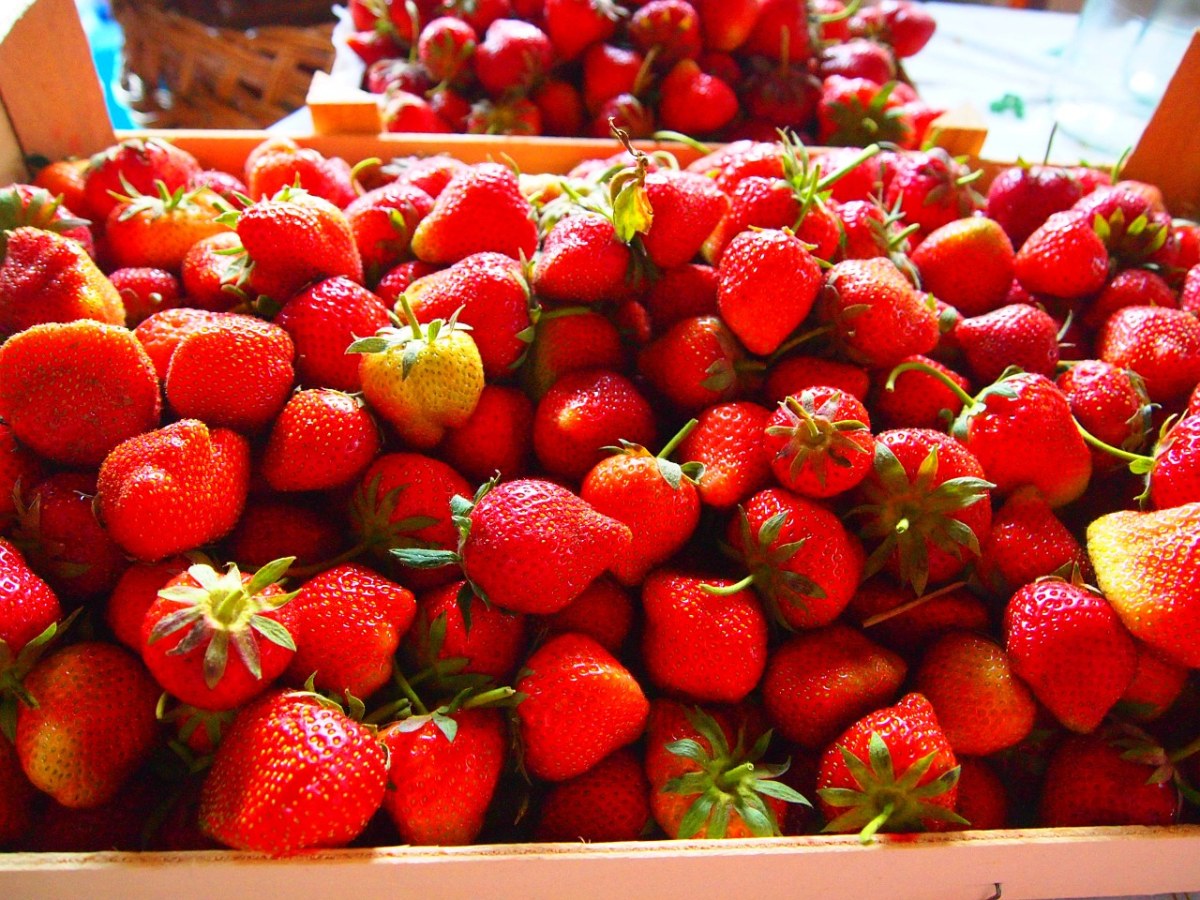 新鲜的草莓水果图片免费图片