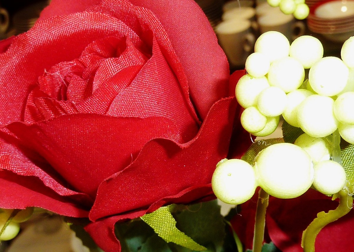 玫瑰、红色、Ste玫瑰免费图片