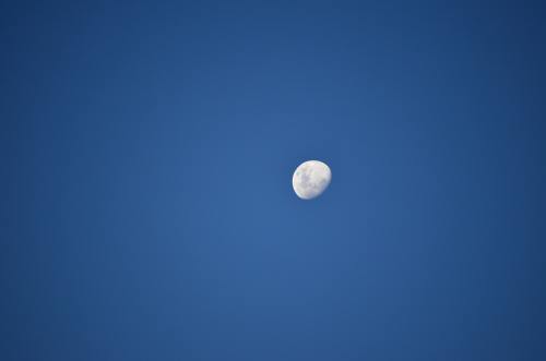 月亮、天空、蓝色