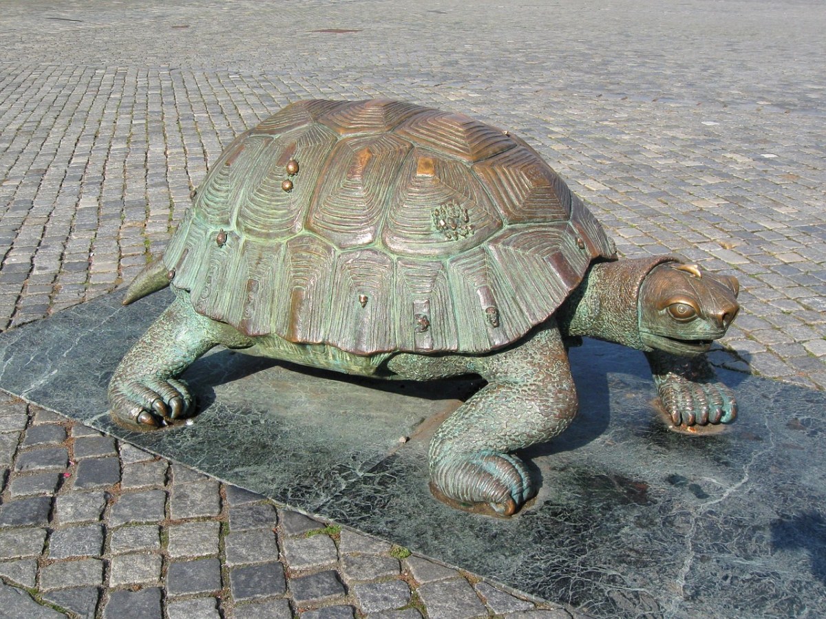 海龟、这座雕像的、奥洛穆茨免费图片