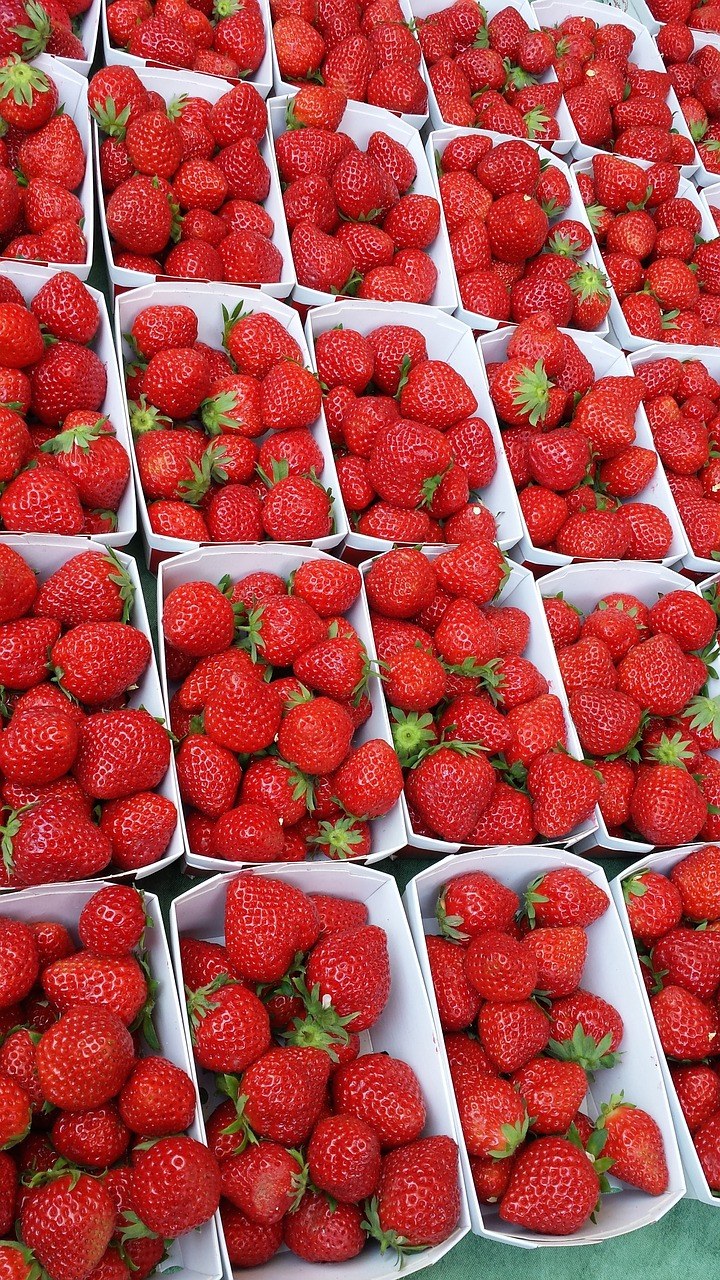 新鲜的草莓免费图片