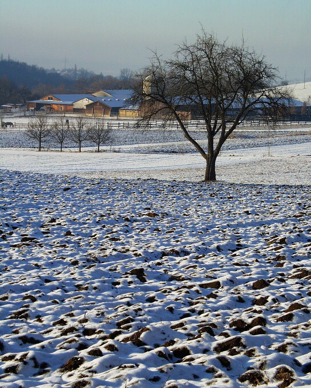 冬天、农业、农场免费图片