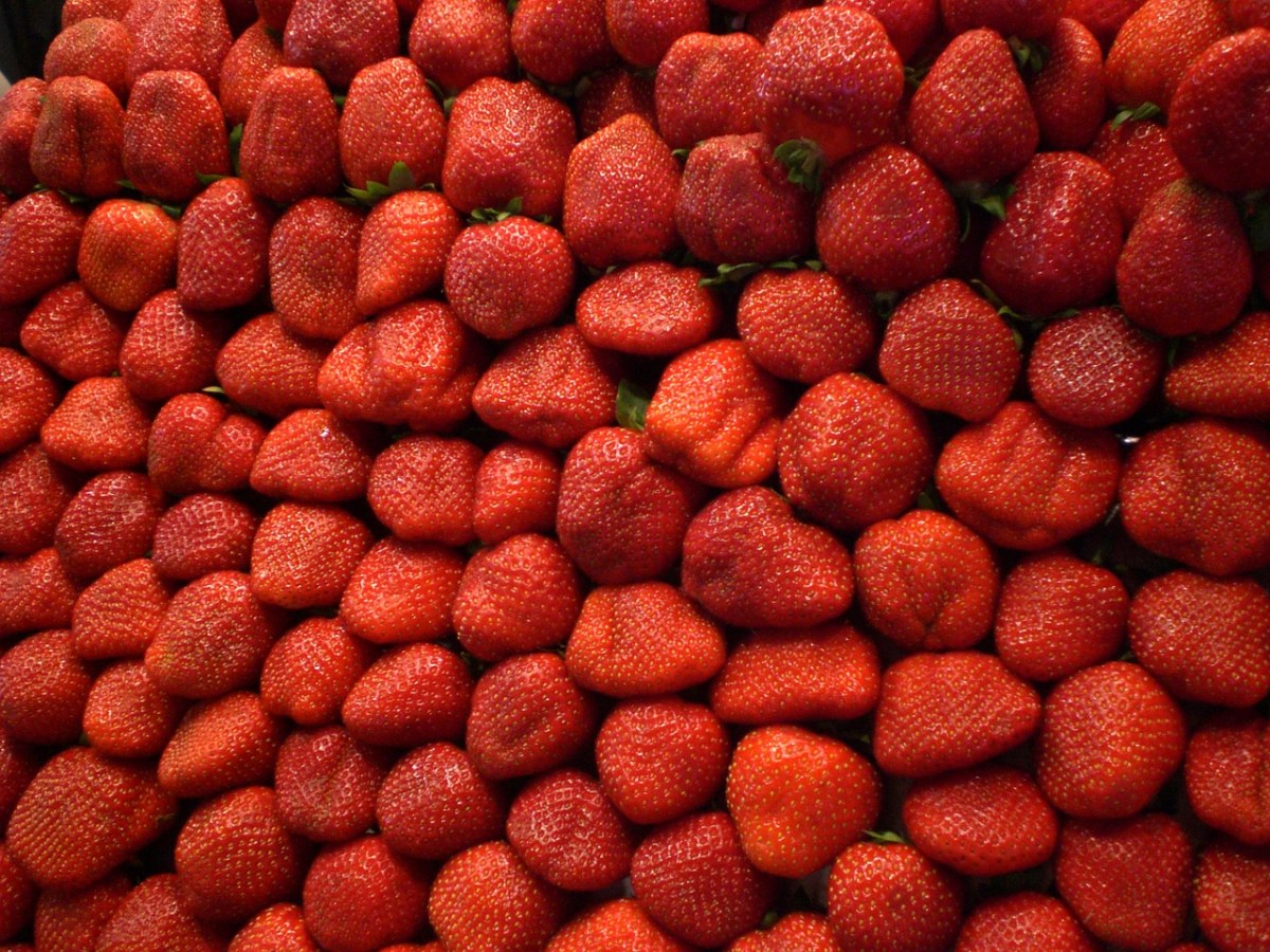 红色水果草莓背景图片免费图片