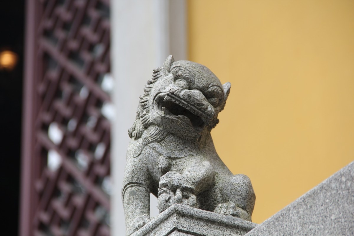 石狮子,可爱,cute