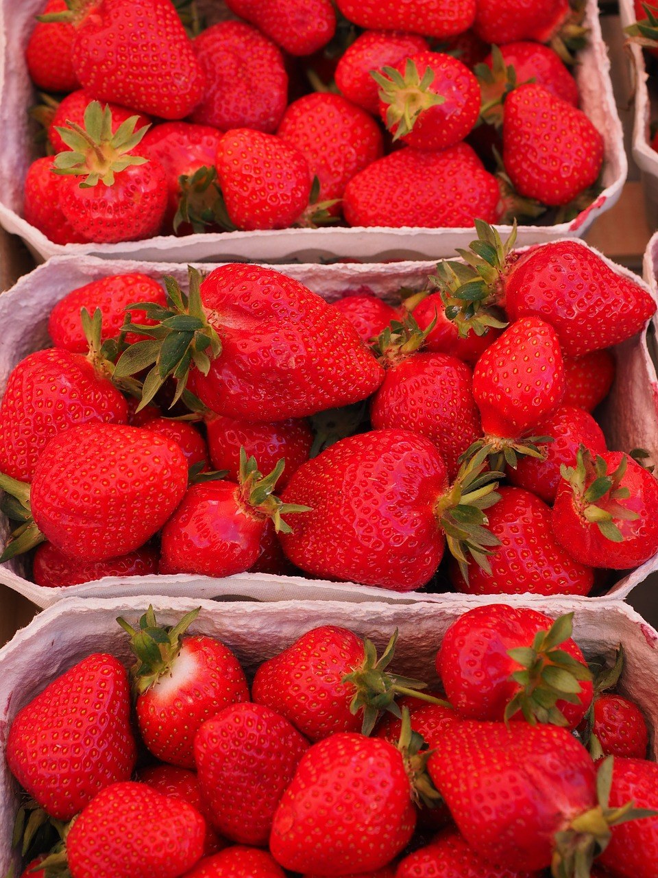 草莓图片免费图片