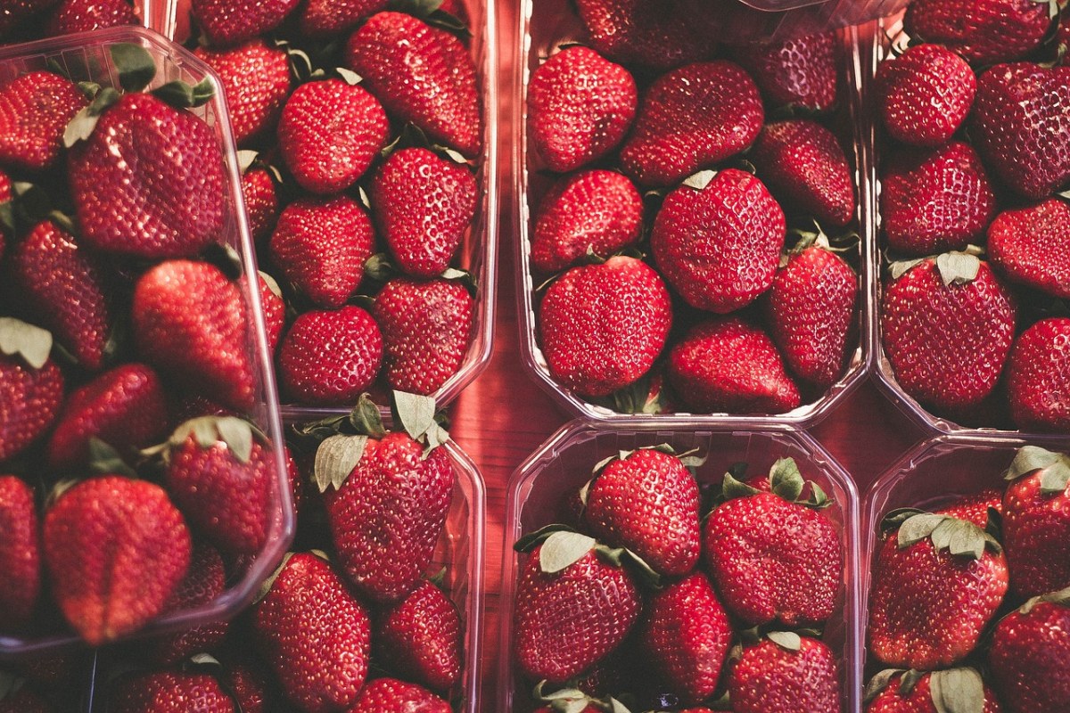 草莓的图片免费图片