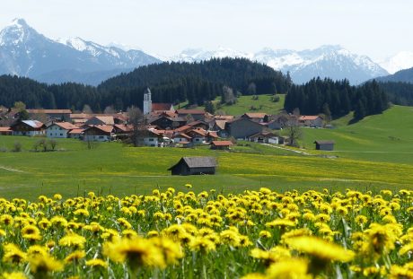 瑞士阿尔高春天的村庄风景