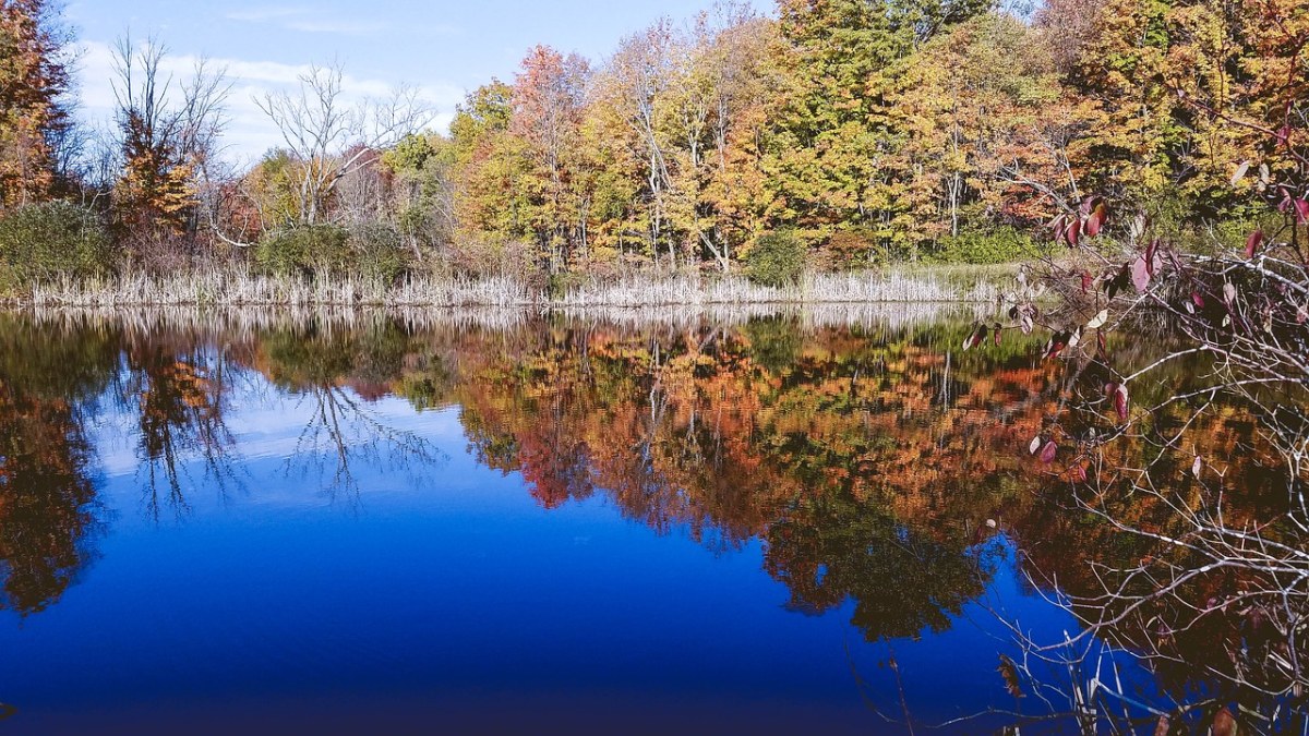 池、秋天免费图片
