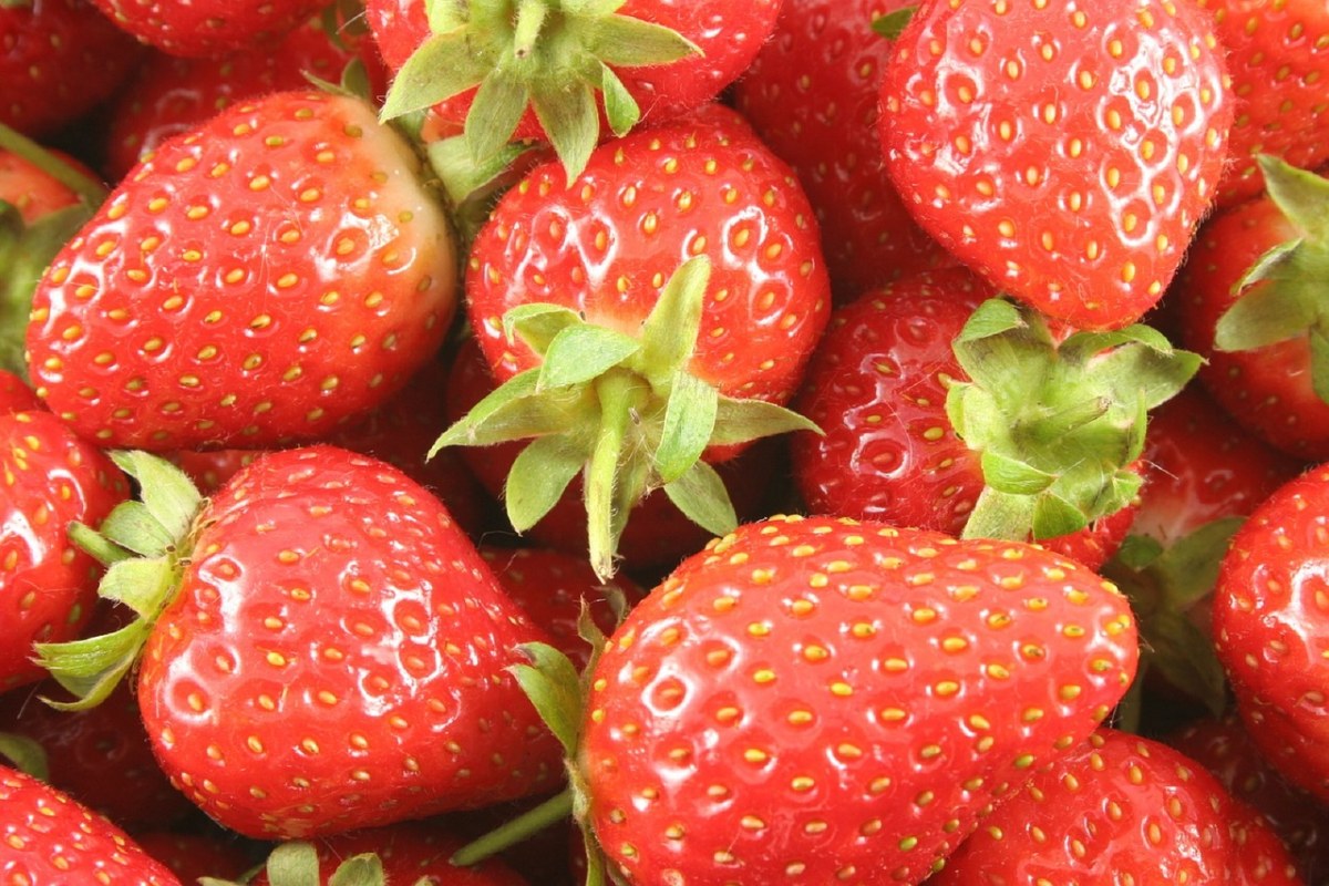 草莓、新鲜、水果免费图片