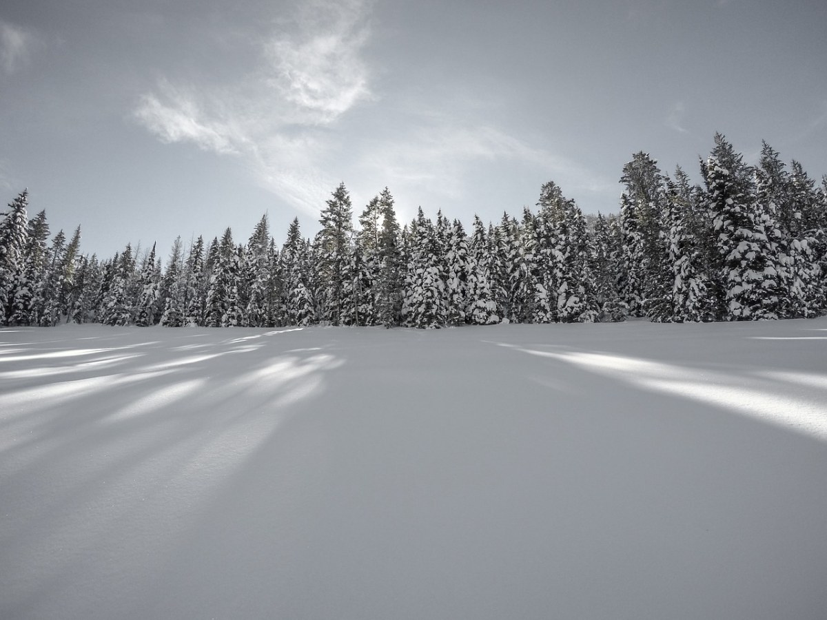 雪、冬天、白免费图片