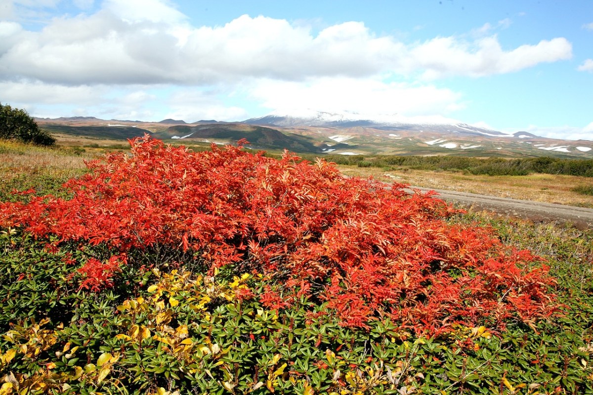 秋季、山、山地高原免费图片