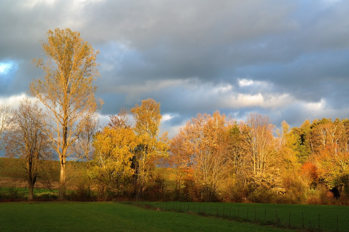 景观、秋天的心情免费图片