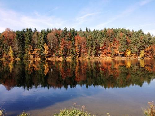 秋季、湖、镜像