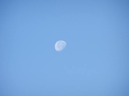 月亮、蓝色、天空