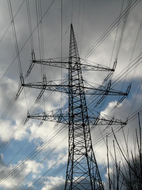 New plan for Cornwall's food and farming sector