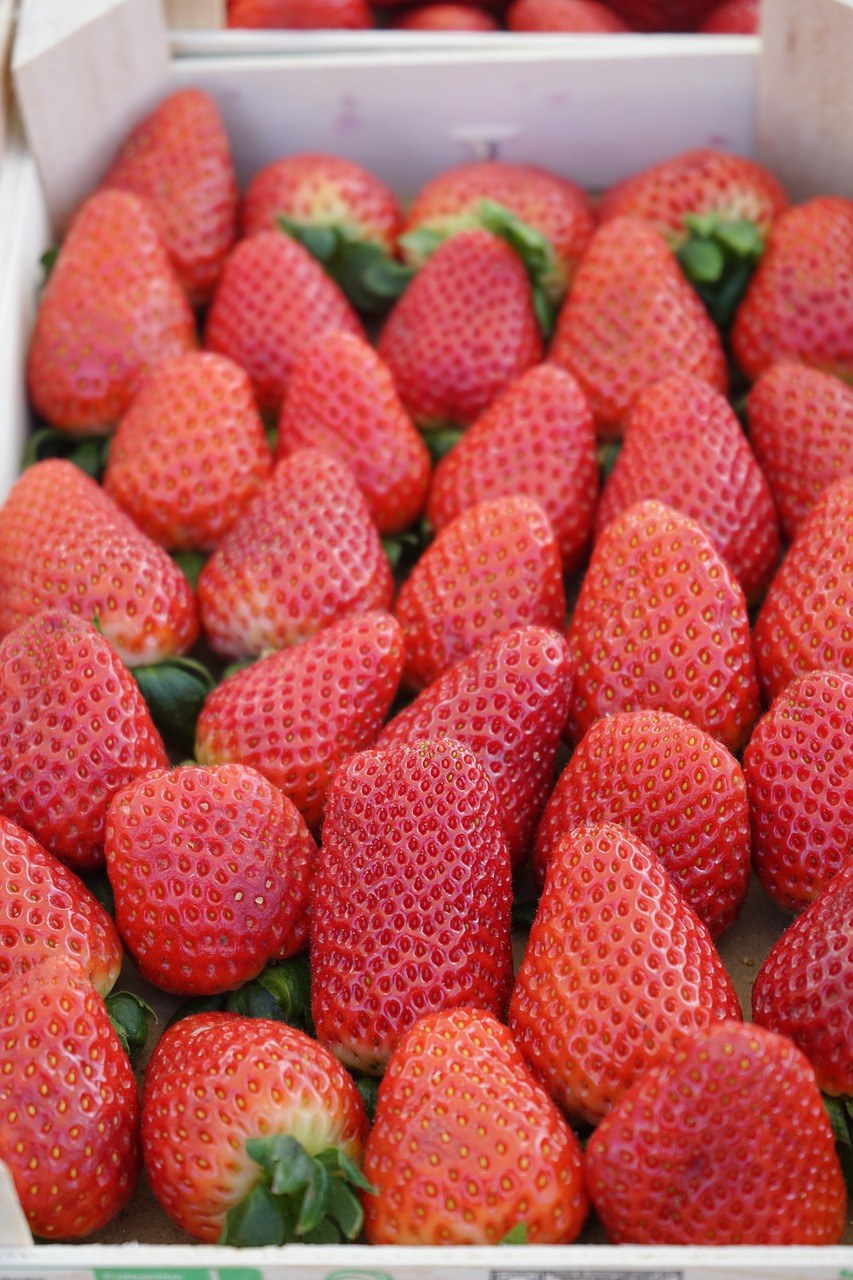 草莓免费图片