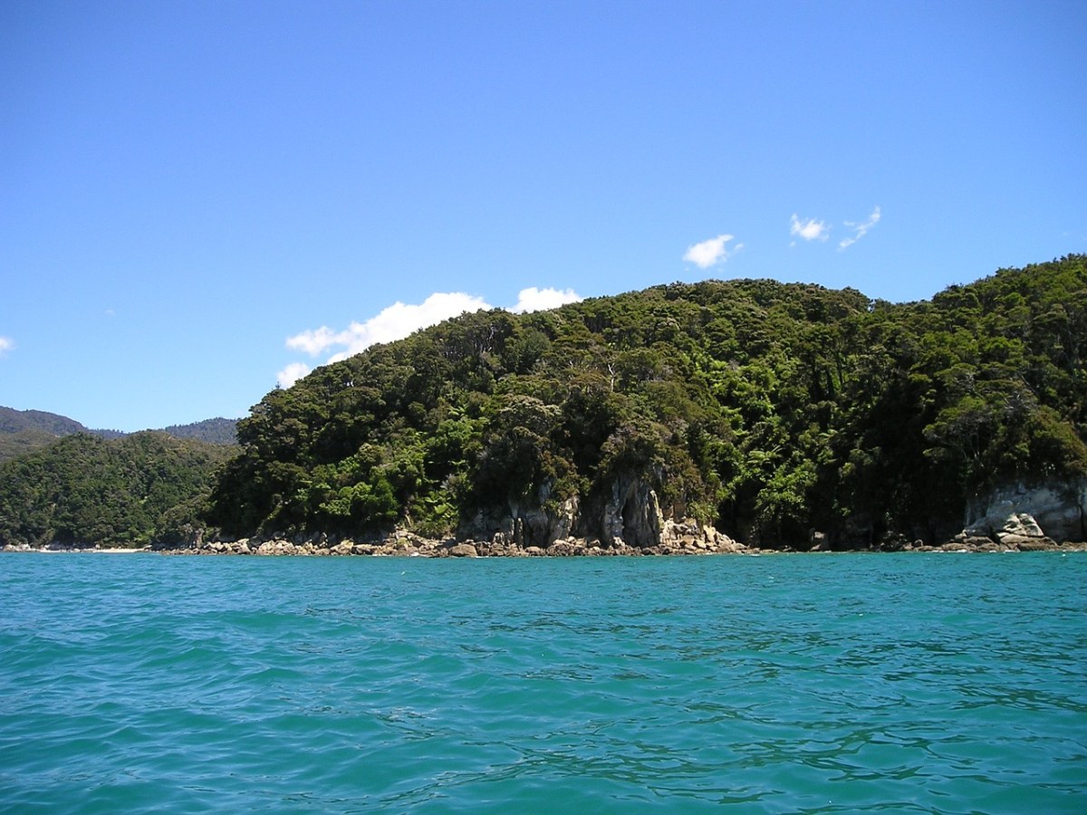 新西兰、海、水免费图片