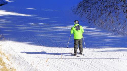 滑雪、滑雪的人、冬季运动
