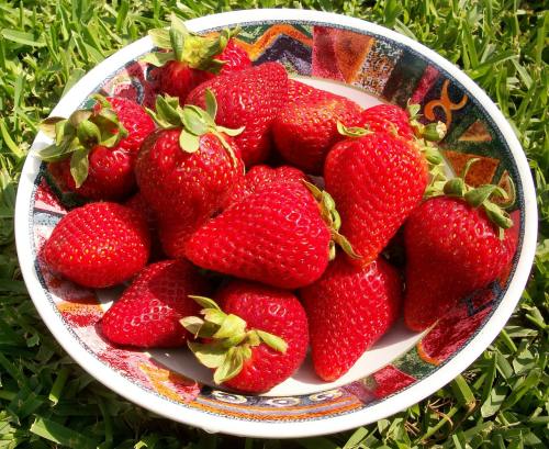草莓、浆果、季节
