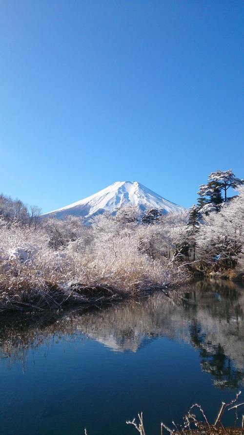 富士山、蓝色的天空、山