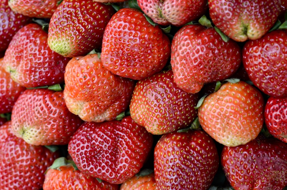 草莓、红色、大叻免费图片