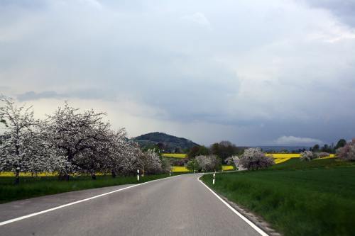 田园的春景与公路风景