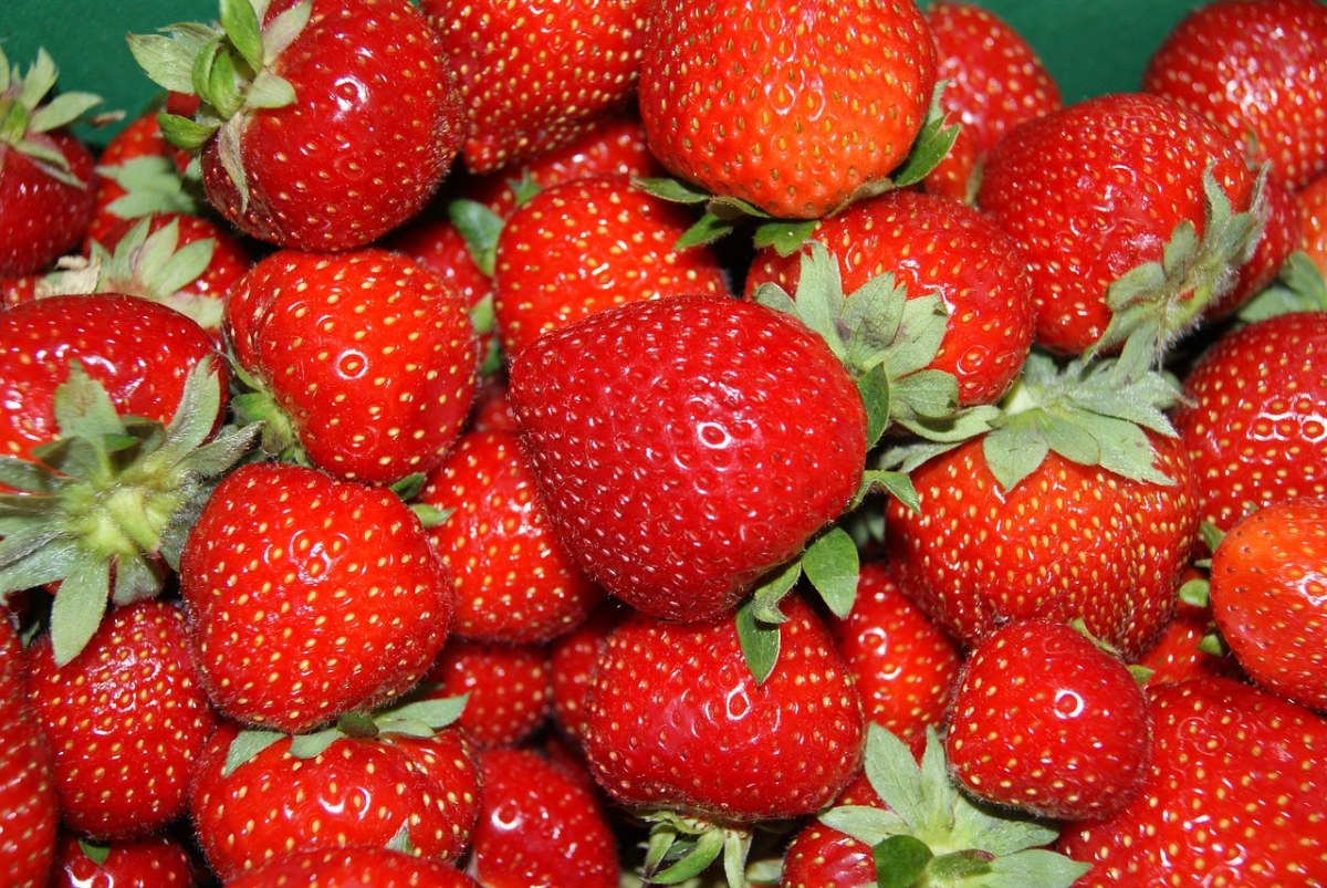 草莓、新鲜免费图片