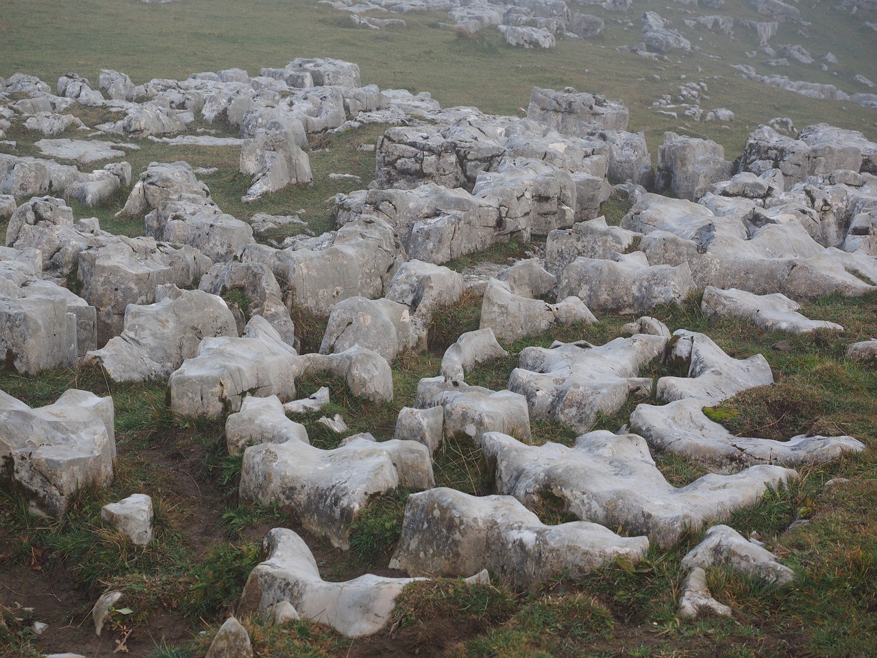 岩溶景观,石灰石,风化作用