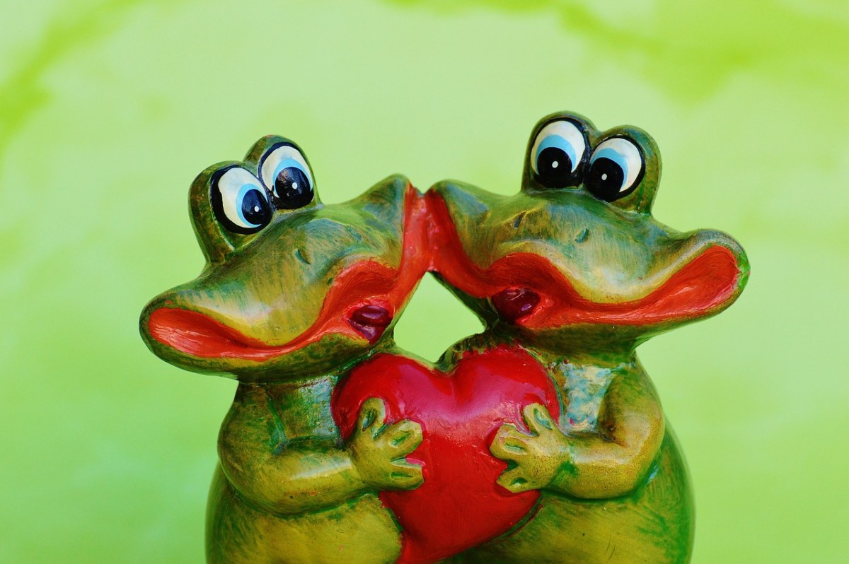 青蛙、对、滑稽免费图片