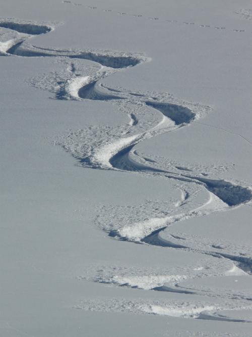 滑雪、出发、摇