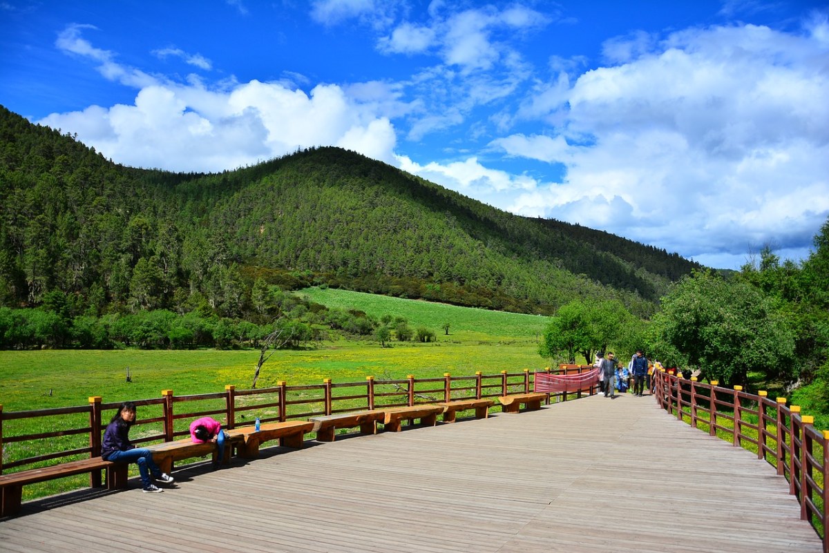 风景、香格里拉、普达措免费图片