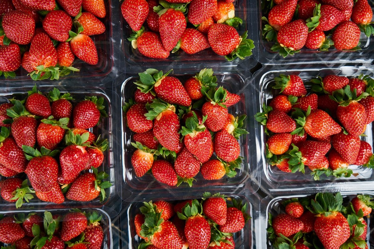草莓、水果、新鲜免费图片