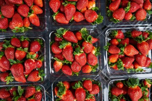 草莓、水果、新鲜