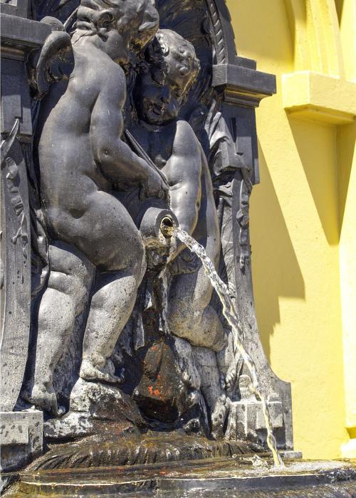 We need some Ashes glory in colour, says England's Wane