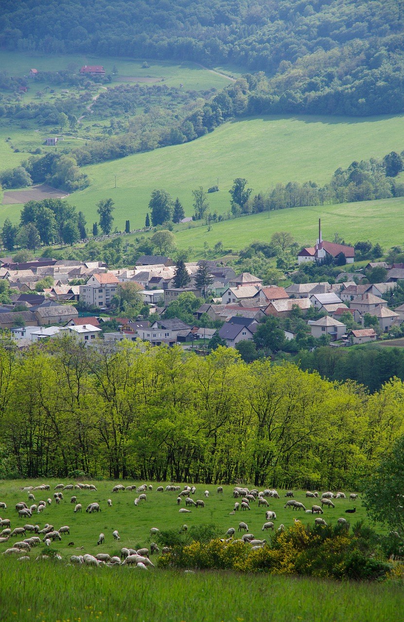村庄与羊群风景图片免费图片