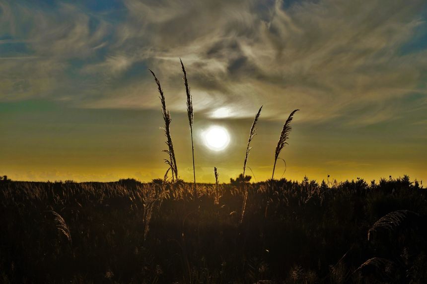 日落,春天,太阳