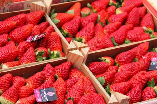 水果、草莓、红色