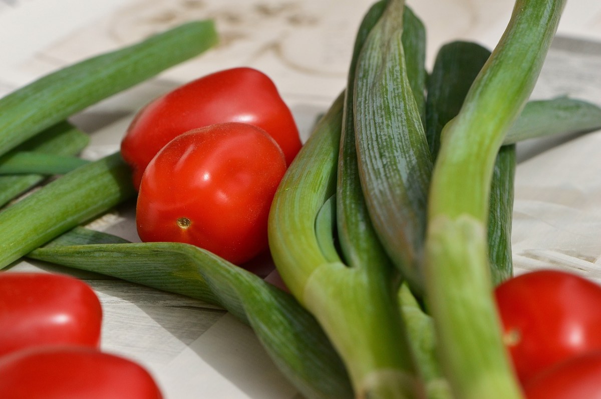 蕃茄、葱、蔬菜免费图片