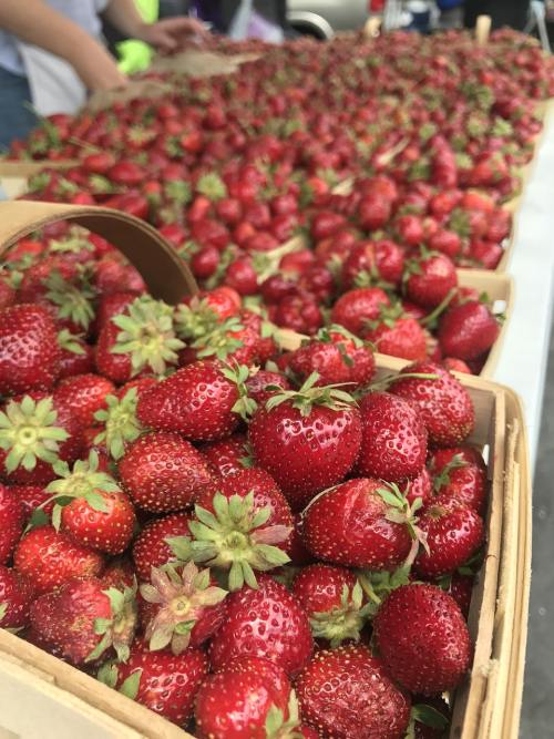 农民市场、草莓、篮