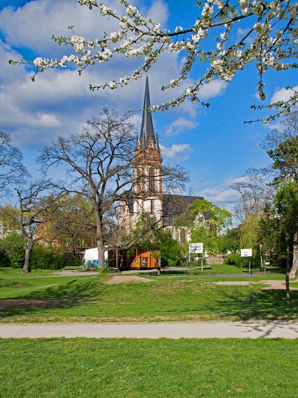 德国达姆施塔特春天公园的草坪免费图片