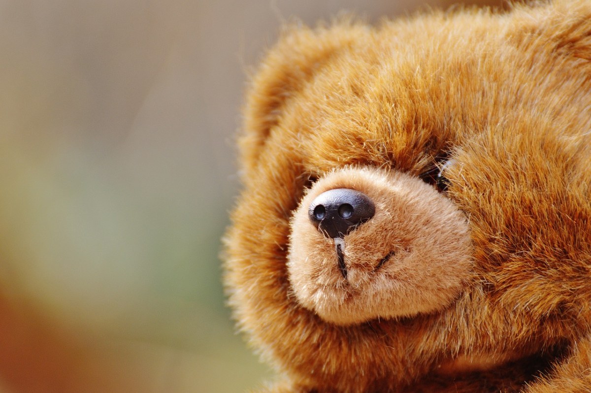 熊、泰迪熊、毛绒玩具免费图片