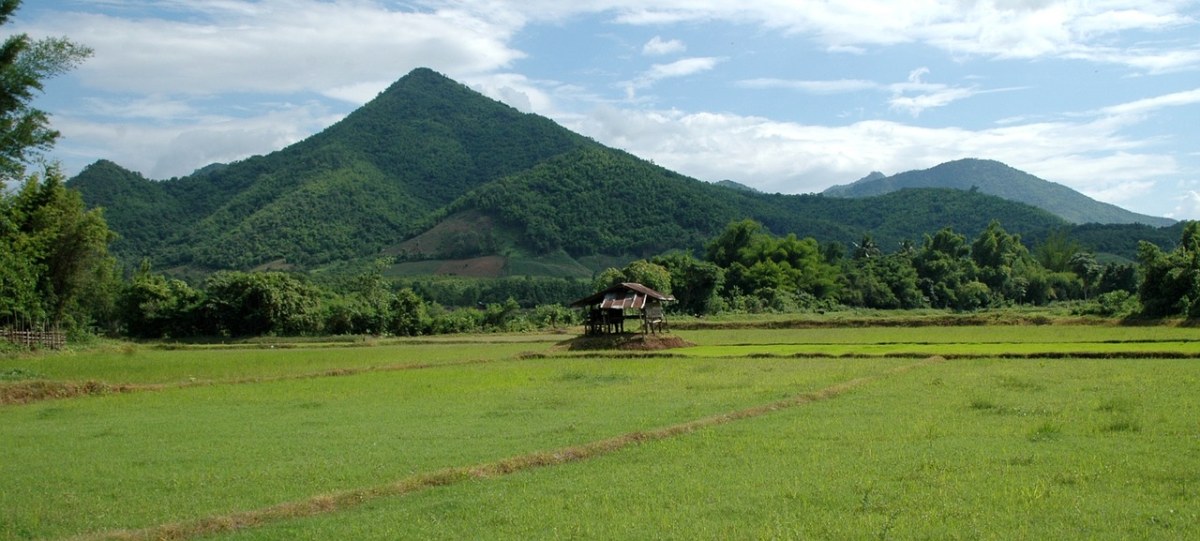 山下的稻田风景免费图片