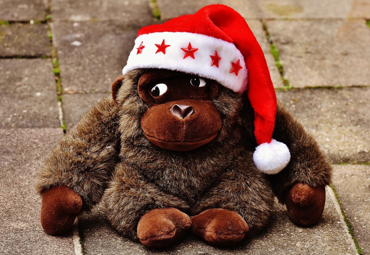 圣诞节、圣诞老人的帽子、毛绒动物免费图片
